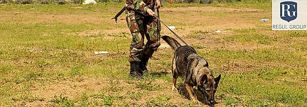 Поиск взрывчатых веществ и устройств на местности