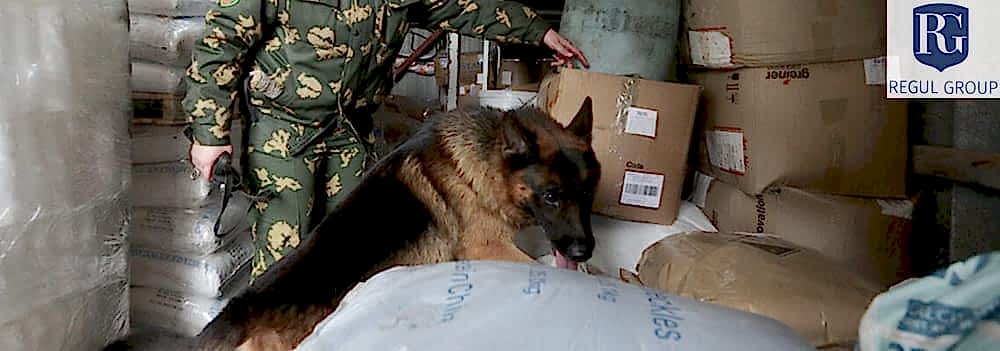 Поиска взрывчатых веществ собаками в грузах
