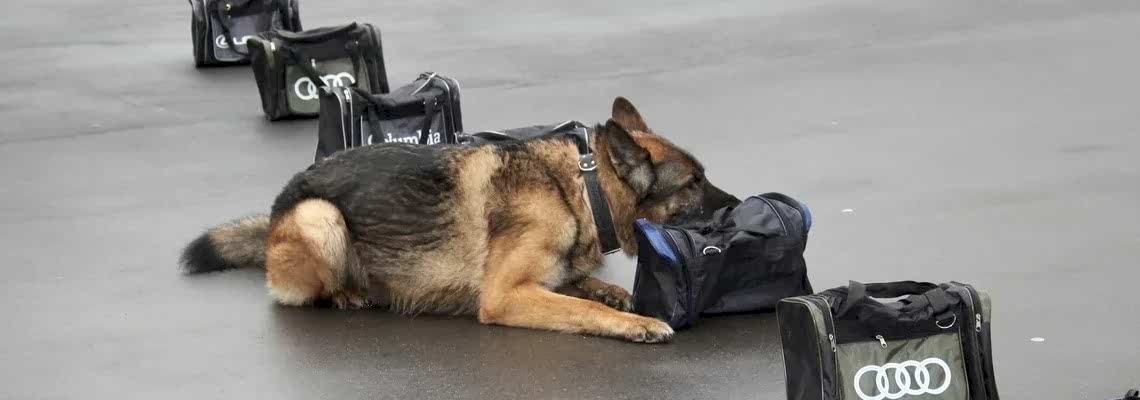 Обнаружение наркотических средств и психотропных веществ