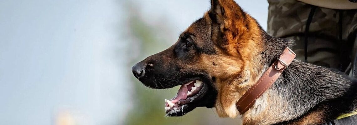 Караульная служба по охране объектов