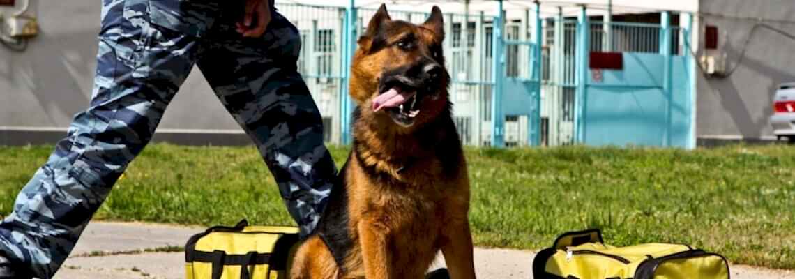 Обнаружение взрывчатых веществ и устройств