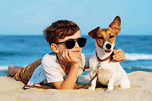 породы собак-охранников детей