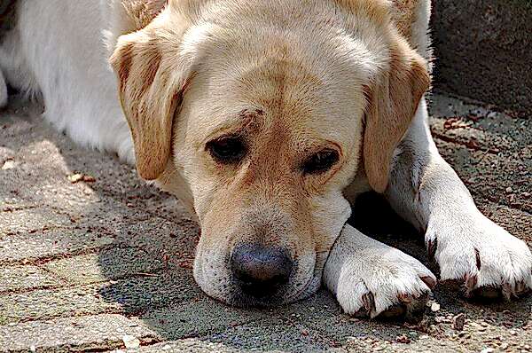 Хорошие манеры