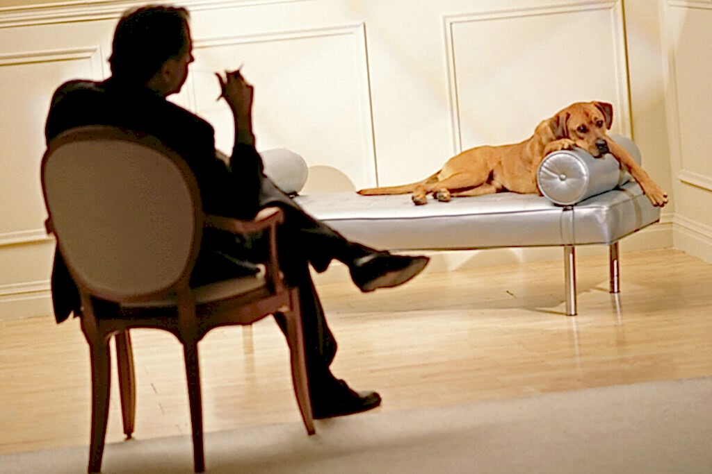 Различия между дрессировщиком-кинологом и этологом