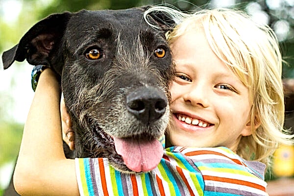 Приемная собака и дети