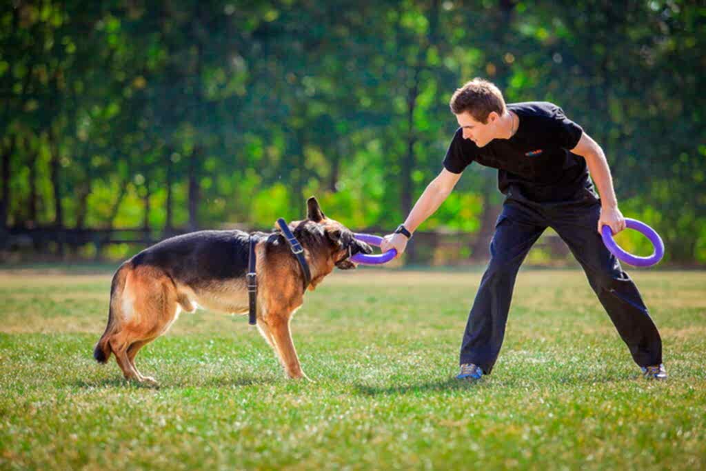 Подготовка к испытаниям