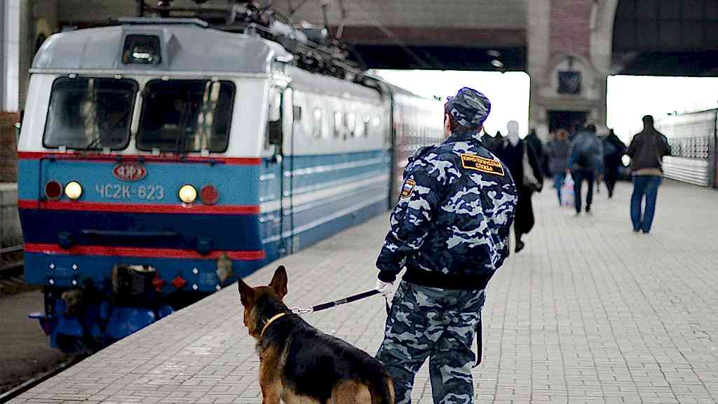 В поезде Поиск взрывчатых веществ в поезде