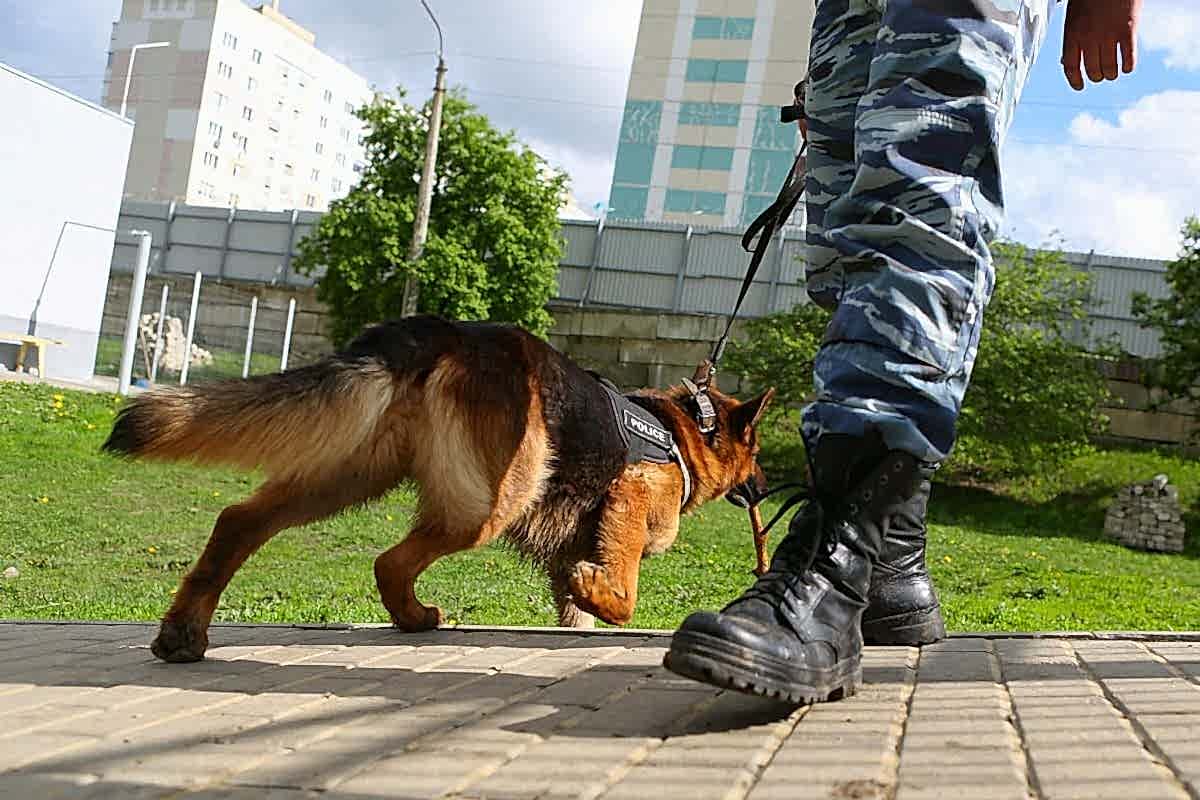 В кинотеатре