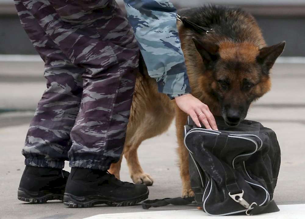 На автовокзале Поиск наркотических средств на автовокзале