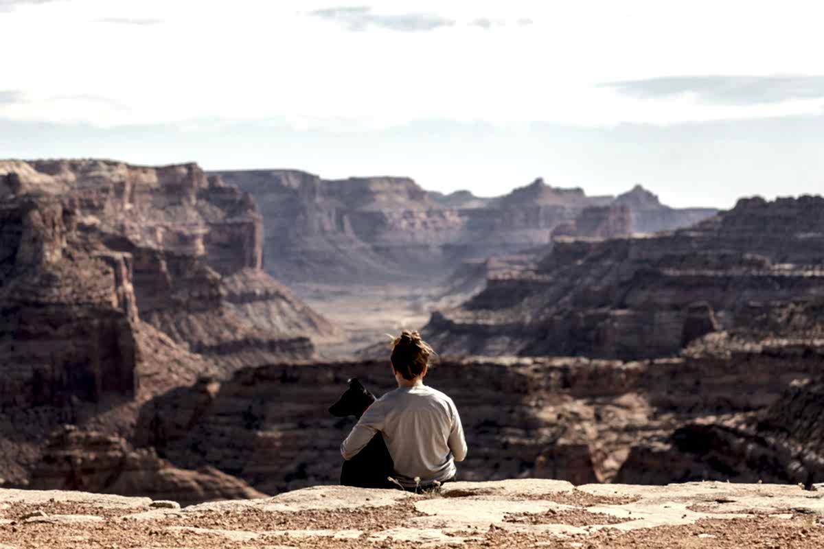 Польза от общения с собакой