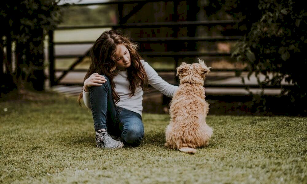 Безопасность взаимодействия между ребенком и собакой