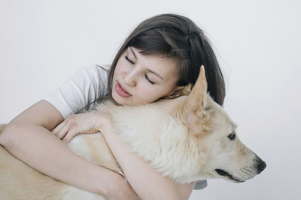 История собачей преданности